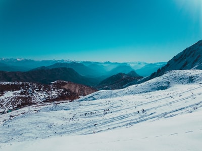 山上白雪